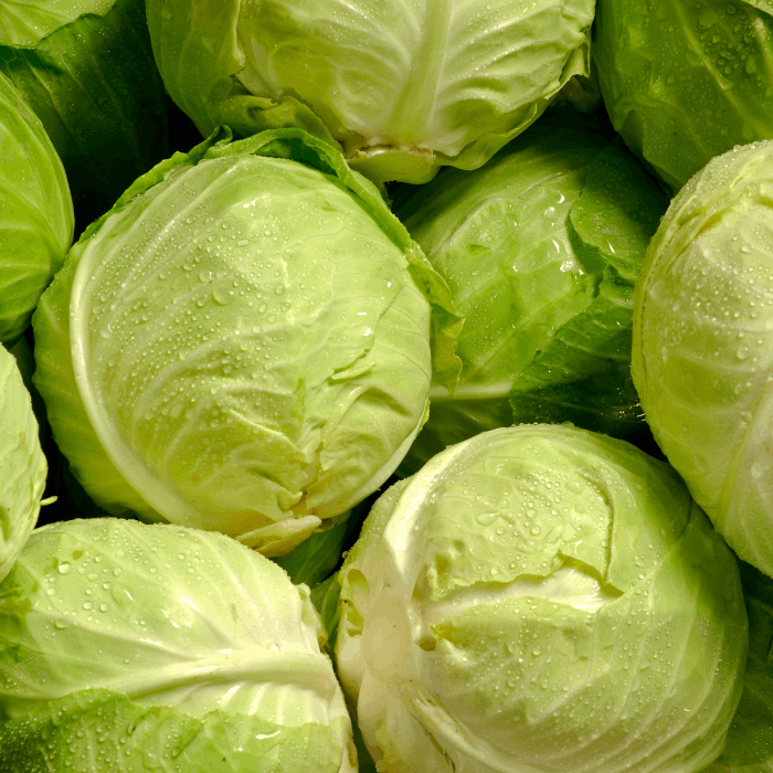 cabbage