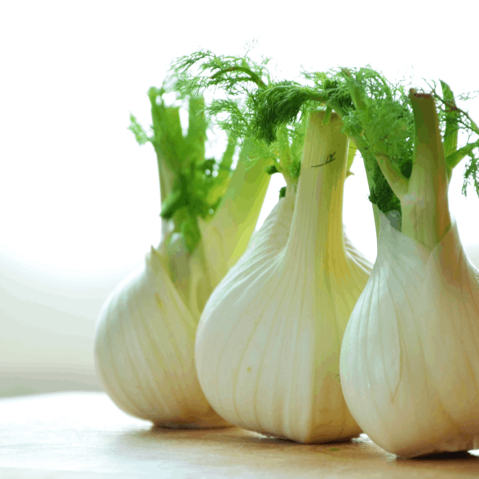 fennel