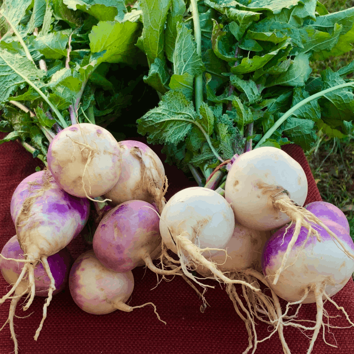 turnips