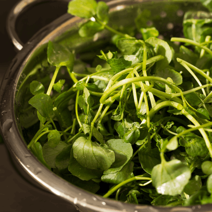 watercress