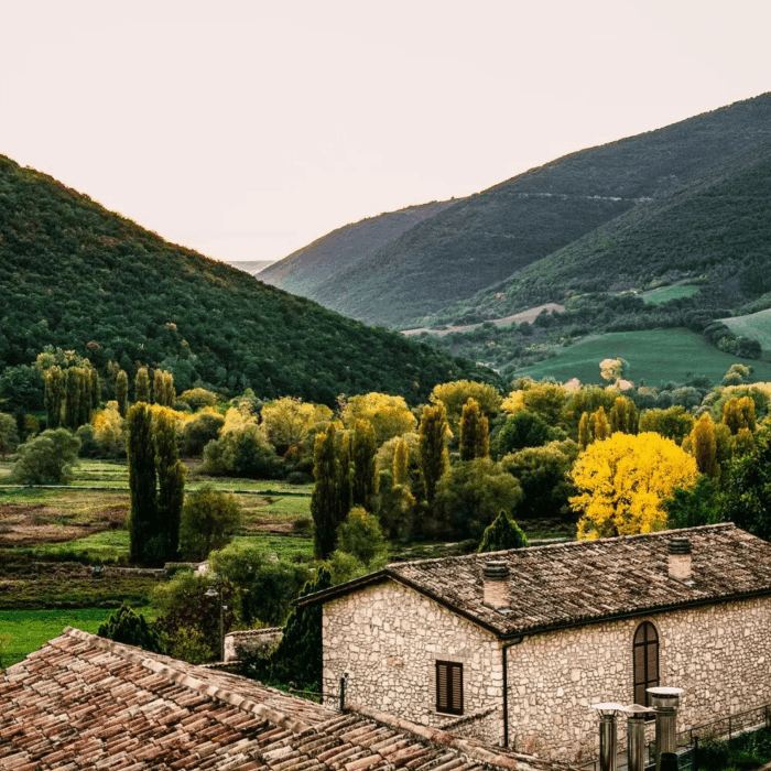 Palazzo Seneca (10)