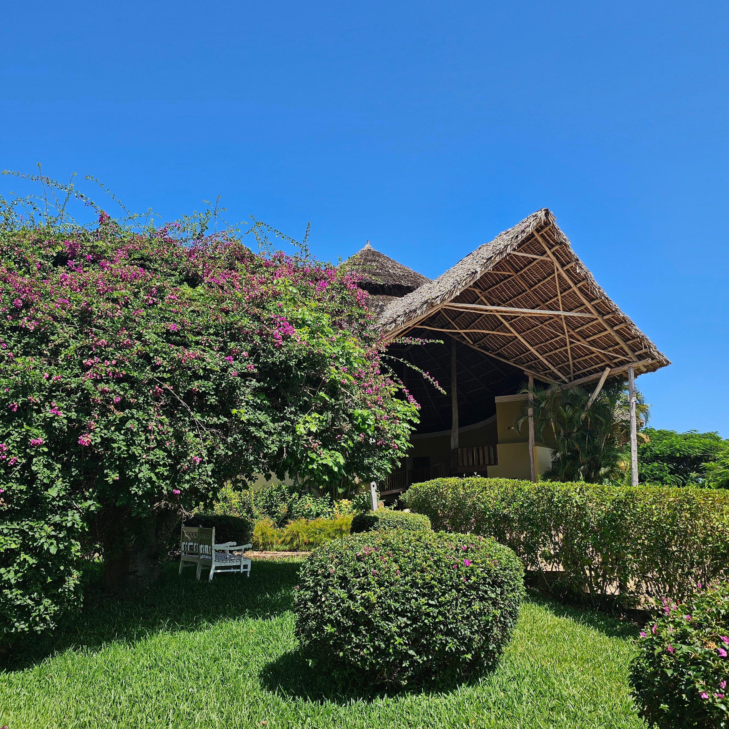 Jambo from Zanzibar