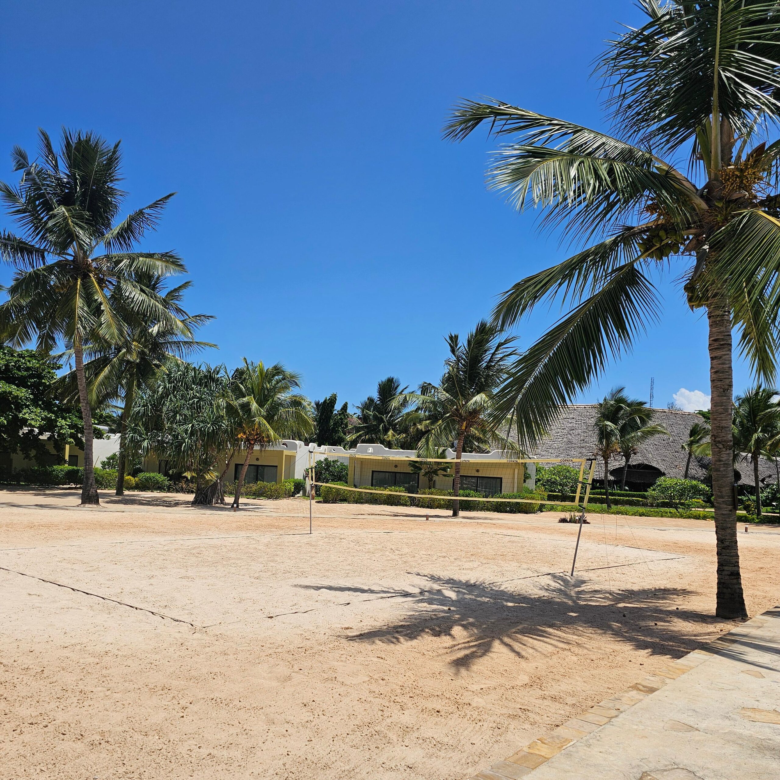 Jambo from Zanzibar