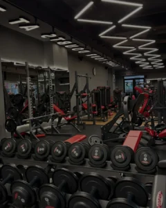 Shprehjet që ndryshojnë mënyrën si e sheh palestrën