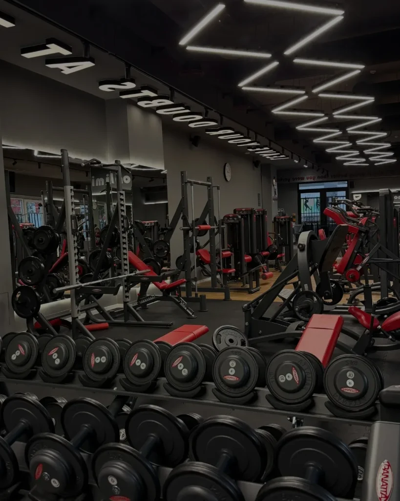 Copy of Shprehje Palestra Copy of Shprehje Palestra